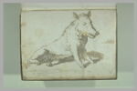 Le Sanglier dit 'Il porcellino', image 2/2