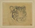 Tête de tigre, image 1/2