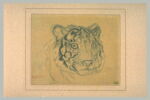 Tête de tigre, image 2/2