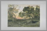 La clairière aux arbres penchés, image 2/2
