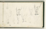 Etudes de pattes de chiens, image 1/2