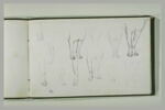 Etudes de pattes de chiens, image 2/2