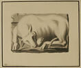 Bas-relief représentant un taureau couché, image 1/2
