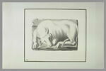 Bas-relief représentant un taureau couché, image 2/2