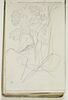 Etude de paysage, image 1/2