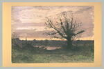 Chasseur sous un grand arbre au bord d'un étang, au crépuscule, image 2/2