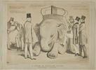 Lithographie humoristique : a lesson in elephant riding, image 1/2
