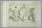 Lithographie humoristique : a lesson in elephant riding, image 2/2
