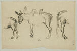 Trois études d'âne pour le Matin (1856), image 1/2