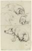 Quatre études de cochons, image 1/2