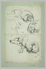 Quatre études de cochons, image 2/2
