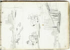 Bateaux au mouillage, image 1/2