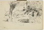 Paysage de campagne bordé par deux arbres, image 1/2