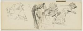 Trois études de caniche et chaise vue de derrière, image 4/4