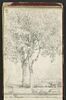 Noyers, image 1/2