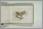 Chien attaché à une corde, image 2/2