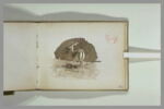 Une biche, vue de dos, image 2/2