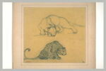 Deux études de jaguar, image 2/2
