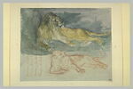 Lion et lionne, image 2/2