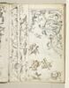 Décor d'arabesques, guirlandes et grotesques et cinq trophées avec arc, glaive et carquois, image 1/2