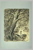 L'heureux moment : couple nu, debout, enlacé sous des grands arbres, image 2/2