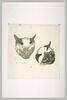 Deux têtes de chats, de face et tournée vers la droite, image 1/2