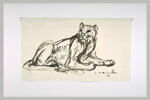 Lionne assise, la tête de face, le corps de profil à droite, image 1/2