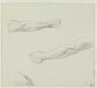 Deux études de bras et croquis d'une épaule droite, image 1/2
