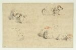 Etude de sept moutons couchés et tête d'un huitième, image 1/3