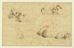 Etude de sept moutons couchés et tête d'un huitième, image 3/3
