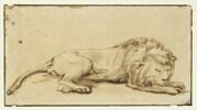 Lion couché, de profil, dormant, image 1/2