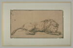 Lion couché, de profil, dormant, image 2/2