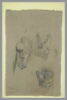 Trois études d'un squelette de tête de renard, image 2/2