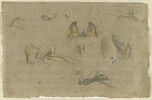 Etudes de gueules et pattes de renards, image 1/2