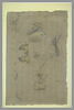 Etudes de gueules et pattes de renards, image 2/2