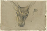 Etude d'une antilope, image 1/2