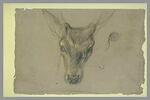 Etude d'une antilope, image 2/2