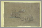 Etude de bouquetins couchés, image 2/2