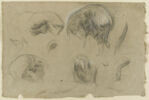 Etudes du corps d'un sanglier, image 1/2