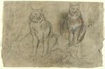 Etudes : deux lynx assis de face, un corps de profil et esquisses de pattes, image 1/2