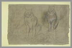 Etudes : deux lynx assis de face, un corps de profil et esquisses de pattes, image 2/2