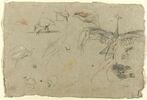 Etudes de poules sultanes et de grues couronnées, image 1/2