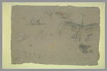 Etudes de poules sultanes et de grues couronnées, image 2/2
