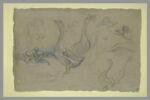 Etude d'oiseaux palmipèdes, image 2/2