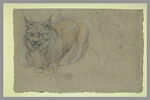 Etude d'un lynx, de face, image 2/2