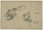 Etudes d'ours, de pattes et de griffes, image 1/2