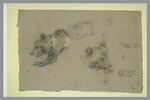 Etudes d'ours, de pattes et de griffes, image 2/2