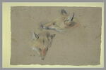 Etude de deux têtes de renards, image 2/2