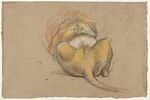 Etude d'un lion couché, vu de dos, image 1/2