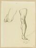 Etudes de jambes, image 1/2